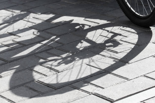 The shadow of a bicycle wheel on the paving slabs.