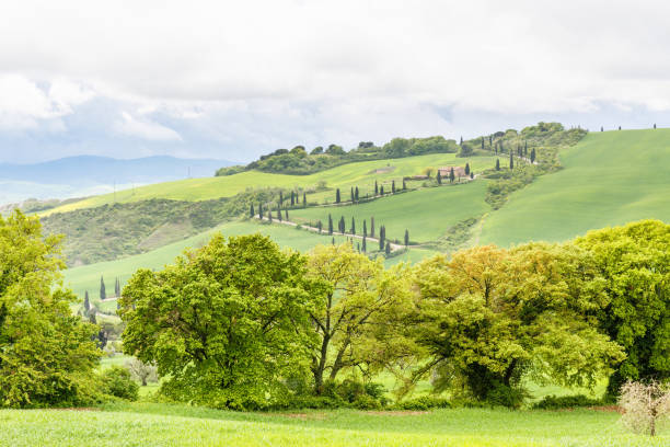 Landscape view with on a hill in Tuscany, Italy