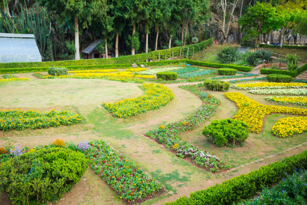 Garden and flowerbed area in Doi Ang Khang Park, Royal agricultural station area in Mae Sun, Fang District, Chiang Mai province