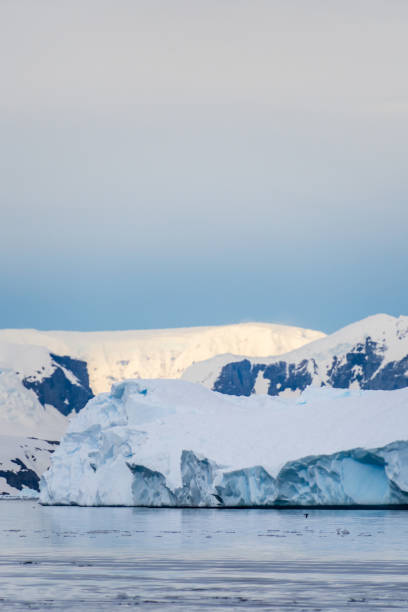 istock Landscape of the Antarctic Peninsula 2152142112