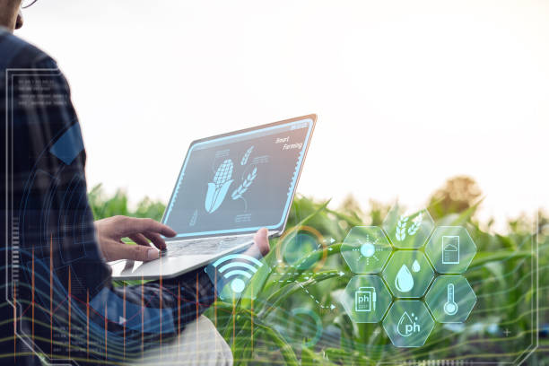 istock Farmer uses digital tablet in corn field with smart farming interface icons and effects. Smart Farming and Precision Agriculture 4.0 2152143979