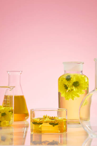 istock Some containing utensils in laboratory such as glass bottle, beaker, boiling flask and erlenmeyer flask with yellow liquid and fresh calendula placed inside. Space for design with frontal shot 2152145580