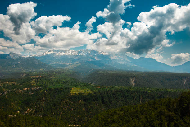 Unique mountain view. Green trees, majestic mountains.