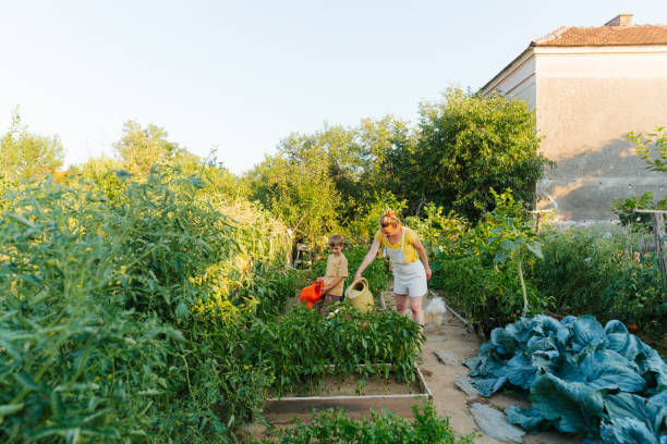 istock Watering our organic garden 2152150755
