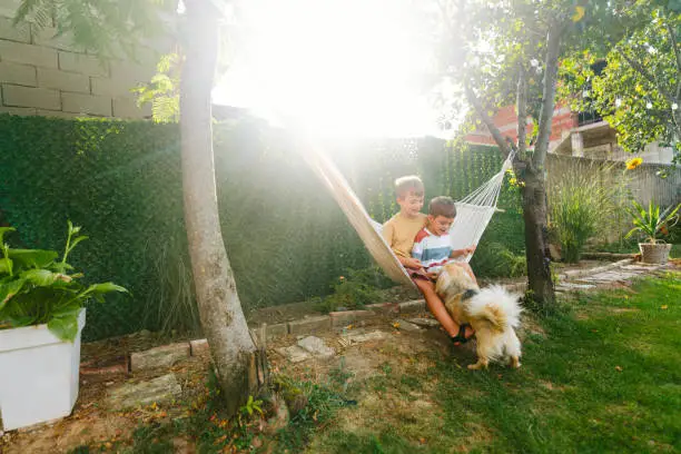 Lovely playdates with our pet Lovely playdates with our pet