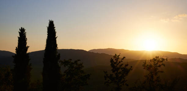 Scenic view of silhouette trees and plants with majestic mountain ranges against sky during beautiful sunrise