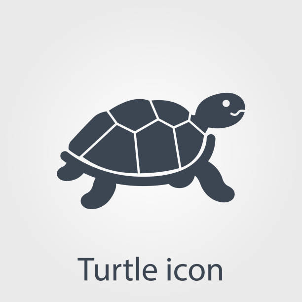 Turtle icon Turtle icon - a versatile vector illustration for your design projects walk slowly stock illustrations