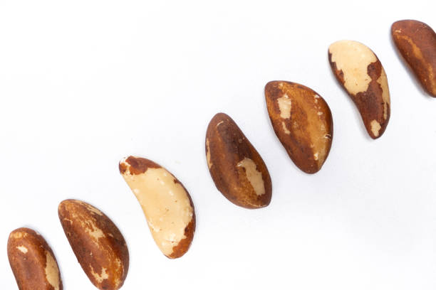 Close-up of Brazil nuts on white background top view