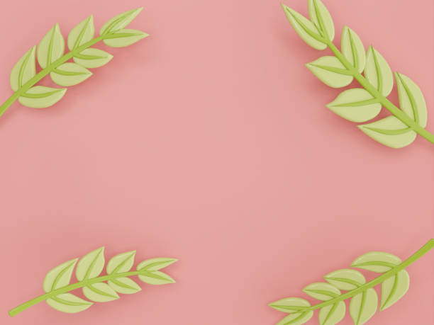 istock A tree branches and leaves on a pink background in a cute plastic decoration art style spring floral concept,3D illustration 2152159490