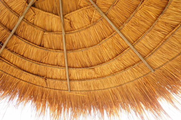 istock Under the thatched roof with white sky 2152163825