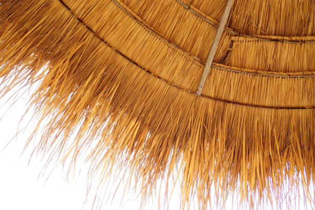 istock Under the thatched roof with white sky 2152163827