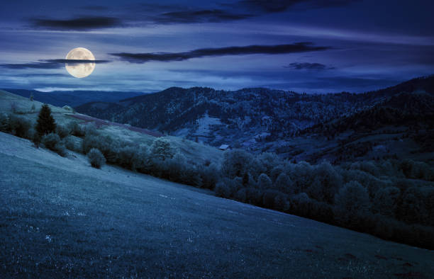 istock rural meadow in carpathian mountains at night 2152164372