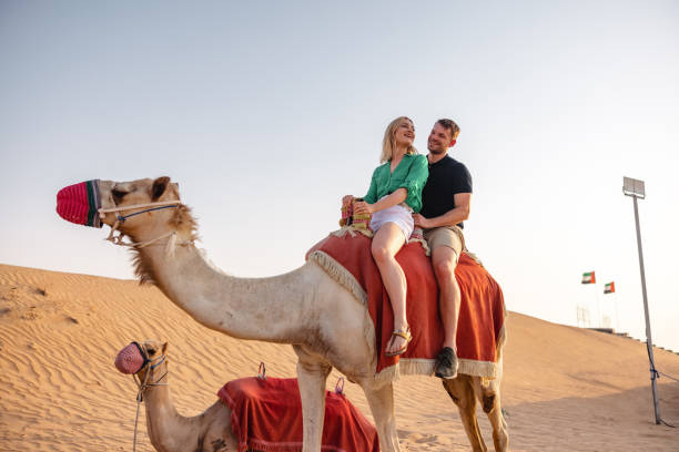 istock A Couple Camel Riding On The Desert In Dubai 2152180898
