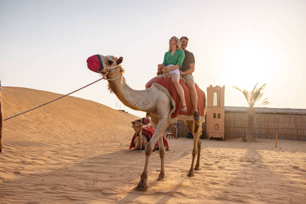 istock A Couple Camel Riding On The Desert In Dubai 2152180900