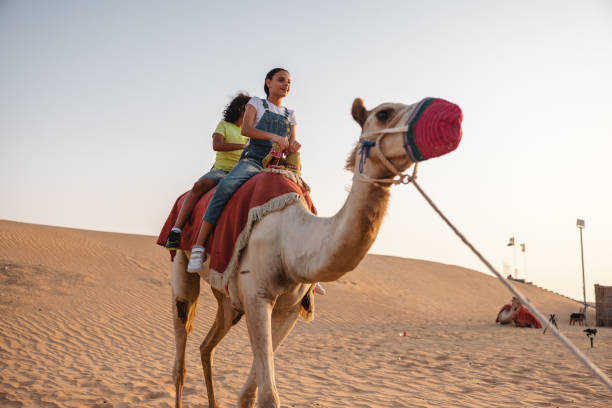 istock Kids On The Back Of The Camel In Dubai 2152180933