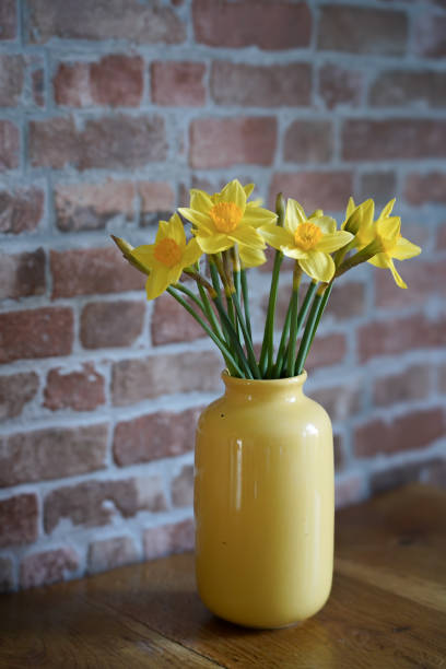 istock Daffodils in yellow vase against a brick wall full view 2152187460