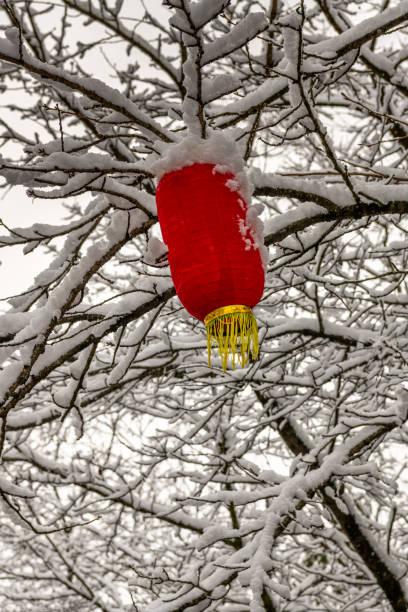 istock The Chinese New Year lantern covered in snow 2152190172