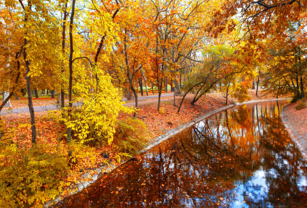 istock Autumn in the park of Budapest 2152194009