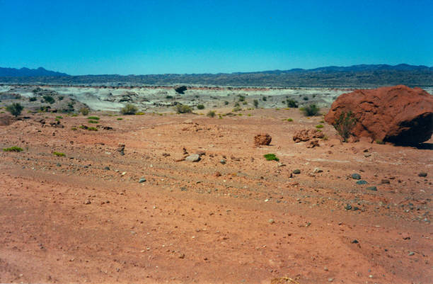 istock Semi-desert place in the middle of nowhere 2152195497