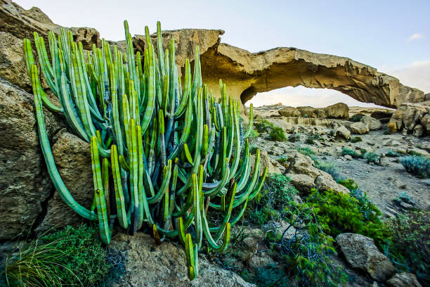 istock A desert landscape with a large archway in the distance 2152202630