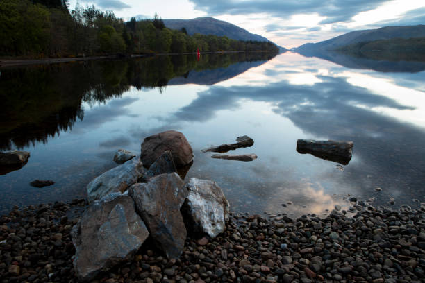 single oak tree in lake - milarrochy bay