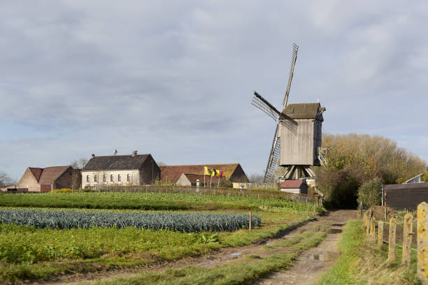 Sunny summer evening in Brugge. Bruges cityscape with old windmill. Park in Bruges with green grass and trees.