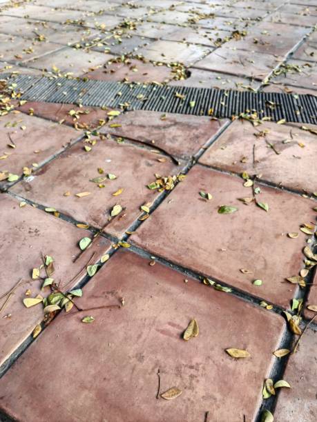 istock A brick walkway with leaves scattered across it. 2152204594