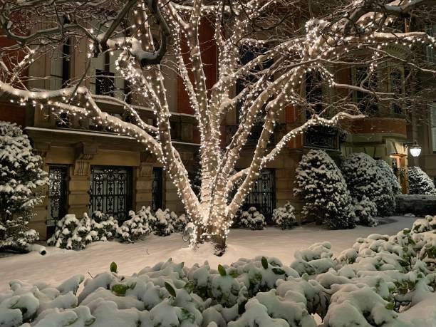 istock Christmas lights and decorations in Boston 2152205839