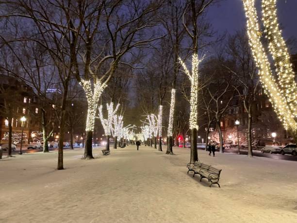 istock Illuminated trees on Commonwealth Avenue at Christmas 2152205957