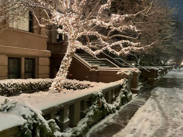 istock Christmas lights and Holly in Boston 2152206015