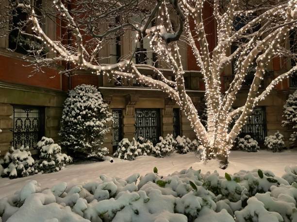 Christmas in an elegant home in Boston