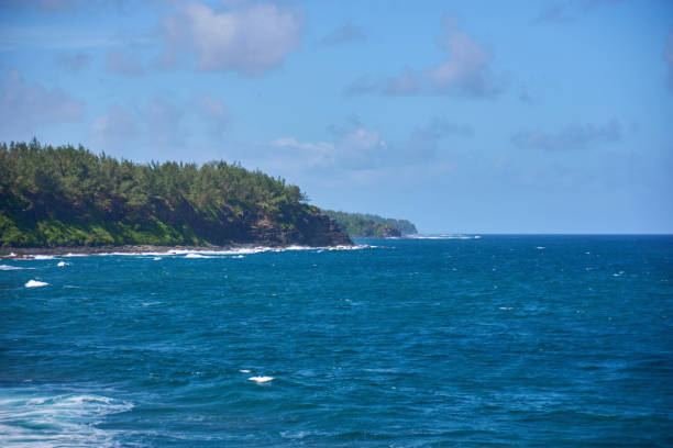 Le Gris Gris cliffs and beach on the south coast of Mauritius