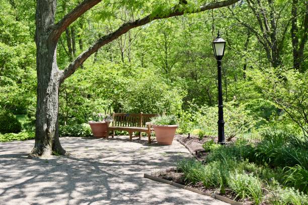 istock Wood Bench in the Park 2152206484