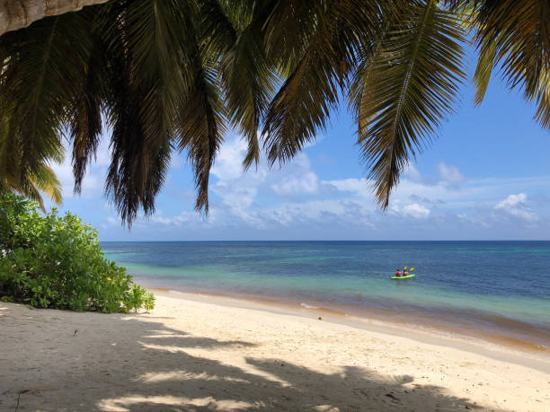 istock Seychelles  Islands: A Paradise in the Indian Ocean 2152210481