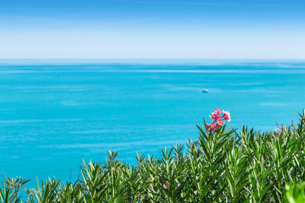 Ancona Passetto Beach area
