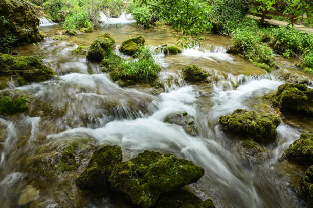 Beauty in nature - dreamy river in deep forest