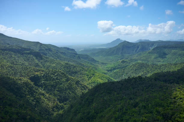 istock Black River Gorges Park, the remaining ancient forest with rare species in Mauritius 2152215739