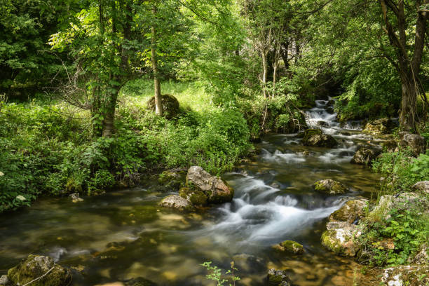 istock Power of pure nature 2152215827