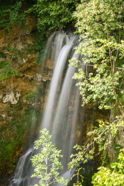 Dreamy waterfall in the deep forest