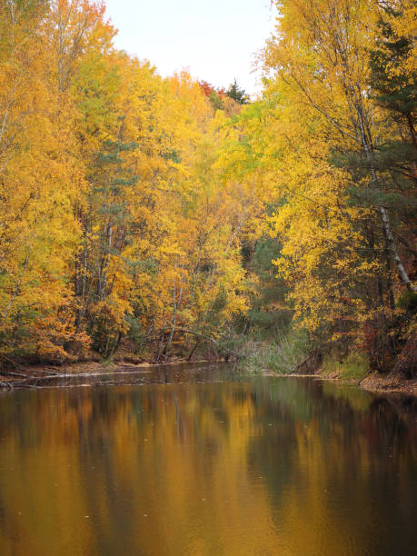 istock National Park  Hunsrueck-Hochwald 2152215984