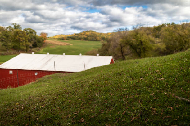a photo of a grassy knoll depicting a fall scene in Wisconsin