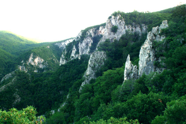 istock Lazar's Gorge in Eastern Serbia 2152222784