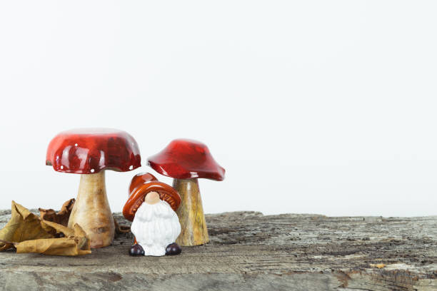A gnome is standing between two red mushrooms. The mushrooms are on a wooden surface. The gnome is wearing a hat and he is looking at the camera. The scene is whimsical and playful, with the gnome