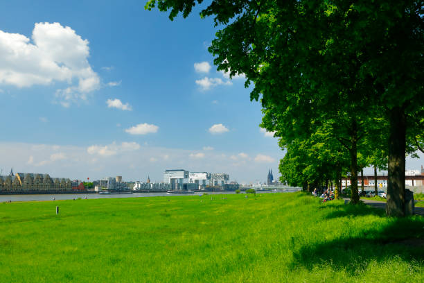 Lush green along the Rhine at Poll near Cologne