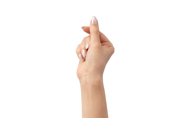 istock Woman hands  isolated on a white background. 2152231774