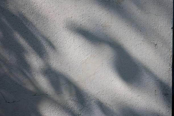 istock Whitewashed plaster with shadows of leaves. 2152233410