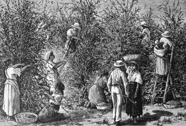 Illustration from 19th century.