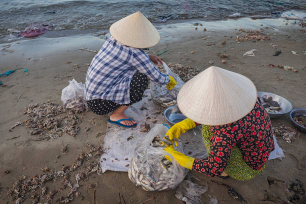 istock Vietnamese women sorting fresh catch, Mui Ne 2152233839