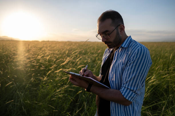 istock A young agronomist holds a folder in his hands on a green wheat field. A farmer makes notes on the background of agricultural land during sunset. 2152235152