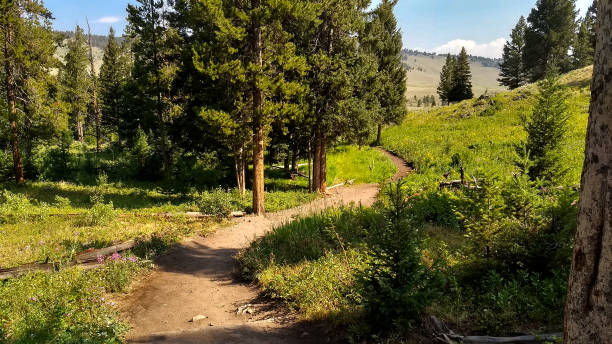 istock Hiking Trail to Wraith Falls 2152235504